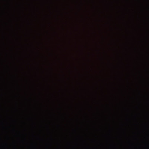 cece_werth
